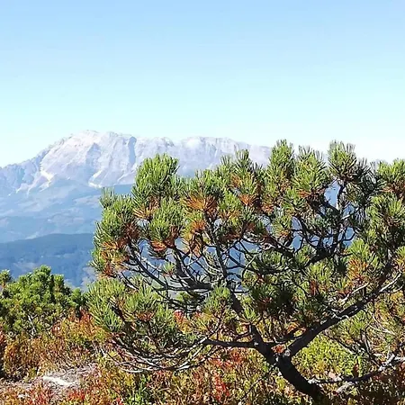 In Near Hiking Trails * Krispl