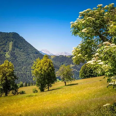 In Near Hiking Trails * Krispl