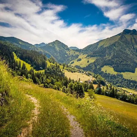 Apartament In Near Hiking Trails