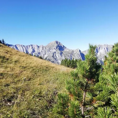 In Near Hiking Trails